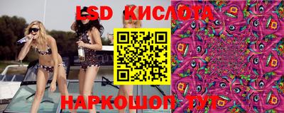 амф Кулебаки