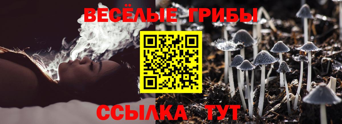 Галлюциногенные грибы Psilocybe  Псилоцибиновые грибы GOLDEN TEACHER  Вход с VPN  Гусев 